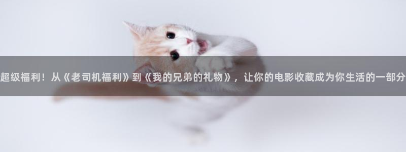 樱花动漫在线看动画