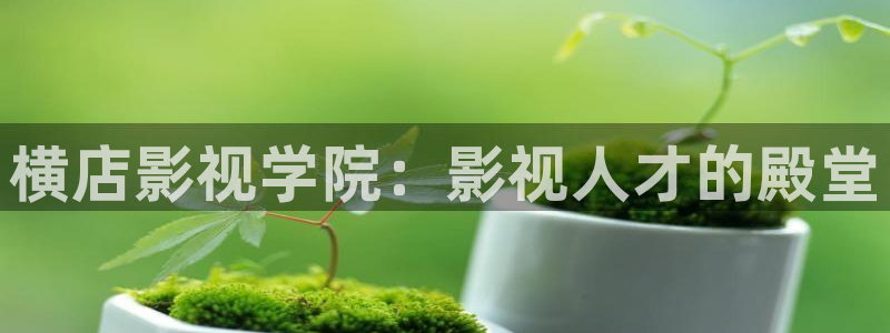 自宅警备员动漫第二季在线观看樱花