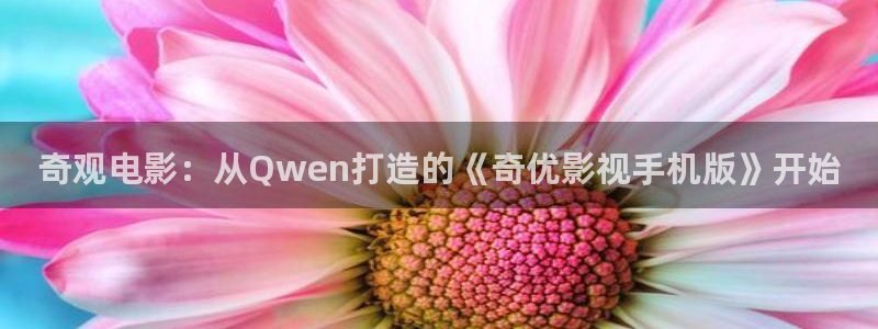 樱花安装视频