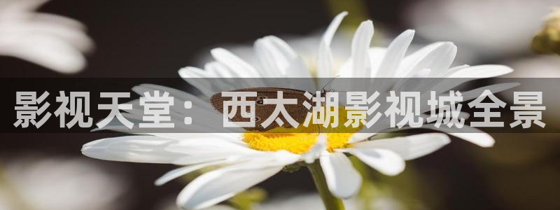 灼眼的夏娜第一季在线观看樱花