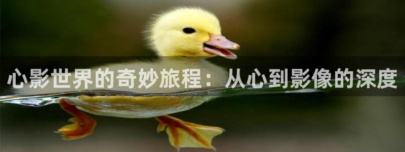 樱花风车动漫在线免费看